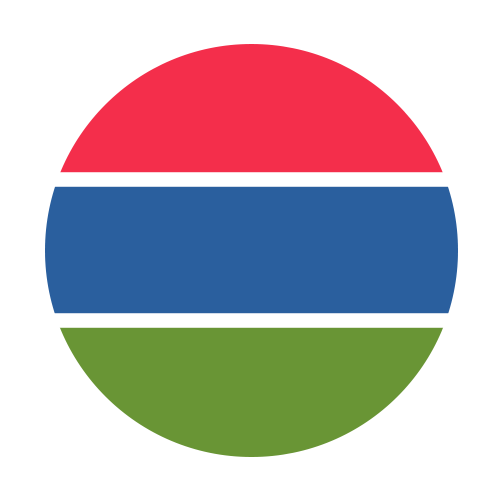 The Gambia flag