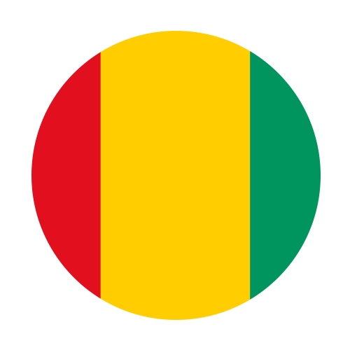 Guinea flag
