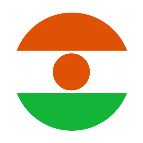 Niger flag
