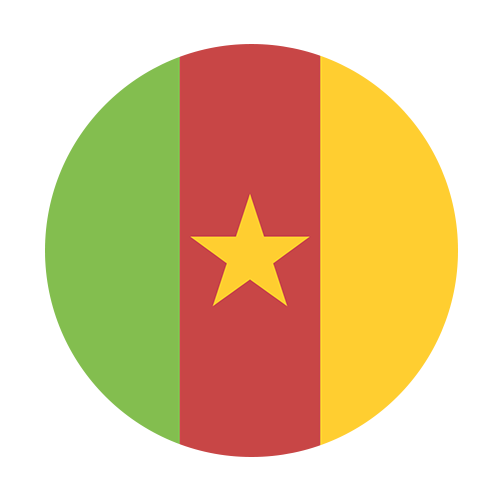 Cameroon flag